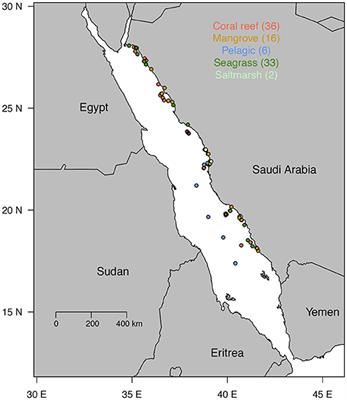 Stable Isotope (δ13C, δ15N, δ18O, δD) Composition and Nutrient Concentration of Red Sea Primary Producers